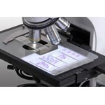 MICROS | Mikroskop | Micros Biological Microscope-Lily MCX500